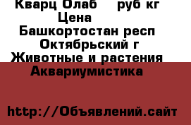 Кварц Олаб 40 руб/кг › Цена ­ 40 - Башкортостан респ., Октябрьский г. Животные и растения » Аквариумистика   